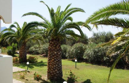 Terpsichore Apartments - Foto 42