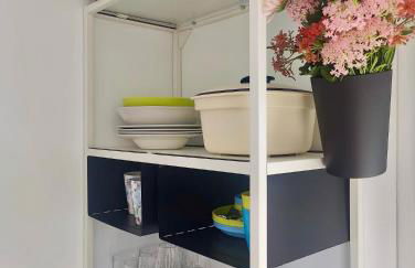 Buena Vista - Photo 10