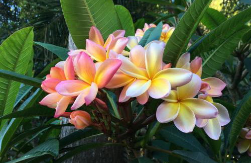 Casa do Pombal - Photo 16