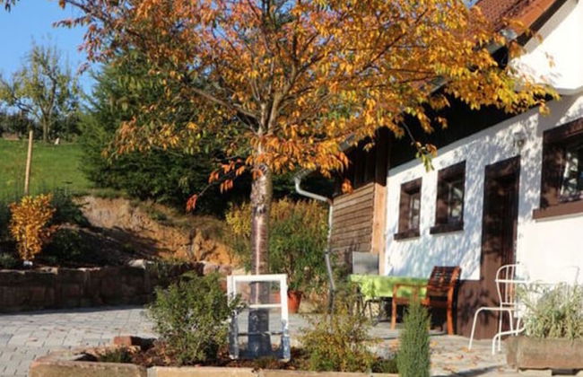 Apartment on the Isenmann Fruit Farm - Foto 22