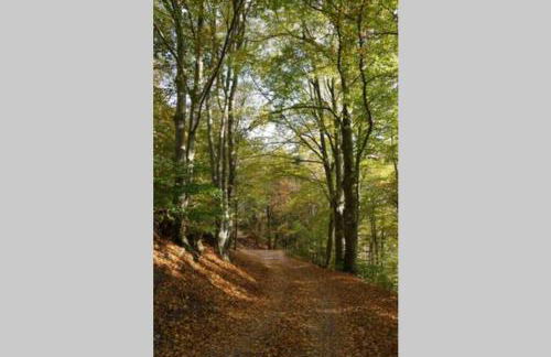 Ruhiges Ferienhaus am Waldrand mit Sauna und Kamin - Hellaberg II - Foto 37