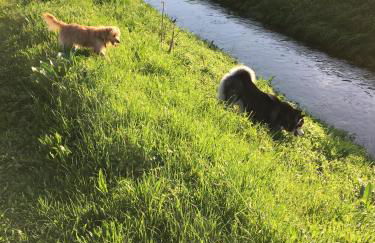 Arcobaleno Toscano - Foto 21