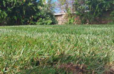 Villa Rossi - Foto 11