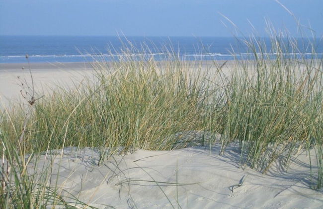 Klabautermann Maywald - Foto 19