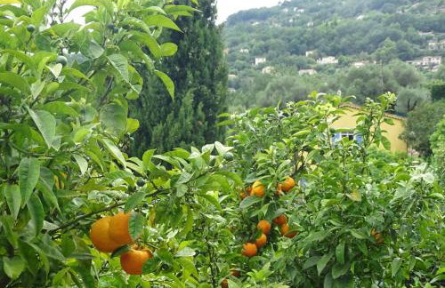 LUVA d'Azur, Rez de villa LE RIOU - LE VALLON - Foto 15