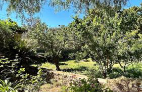 Jasmine Kampos - Foto 6