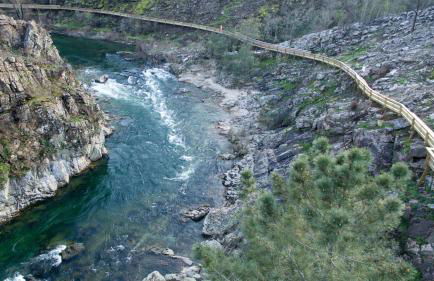 Casa do Quinteiro - Foto 23