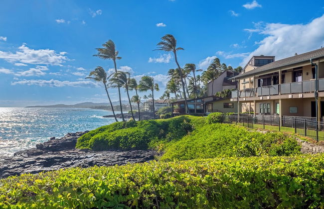 Makahuena 2106 - Foto 30