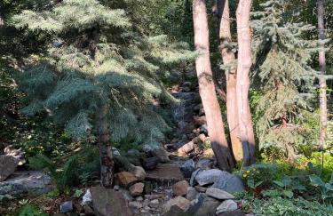 Sundance cabincasita sleeps 18 hottub firepits - Foto 62