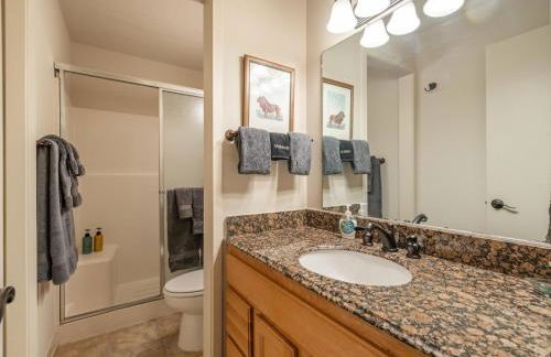 Bear's Den - Foto 16