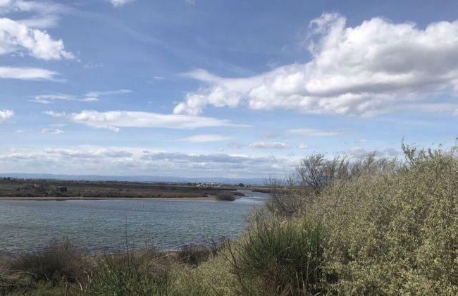 Apartment in Neureichenau - Foto 13