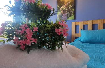 Apartamentos Goizeder - Foto 35