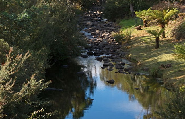 Crabtree River Cottages - Foto 15