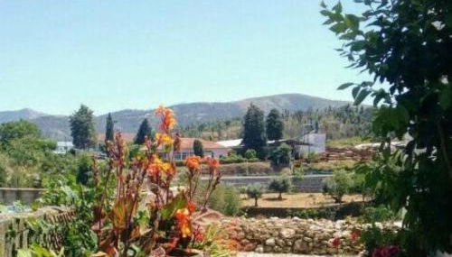 Santa Clara - Photo 4, Garden, Garden view