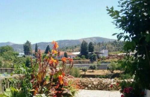 Santa Clara - Photo 4