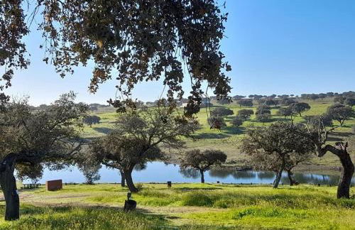 CasinhaD'Alice - Foto 38