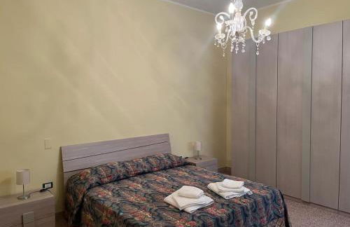 Nespolilla - Foto 36