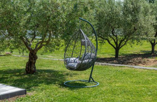 Vista OLIVO - Foto 23