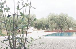 Olive trees house - Foto 5