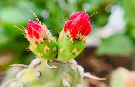 Casa Solaris at Anfi Beach with Private Terrace, Pool & Netflix - Photo 31
