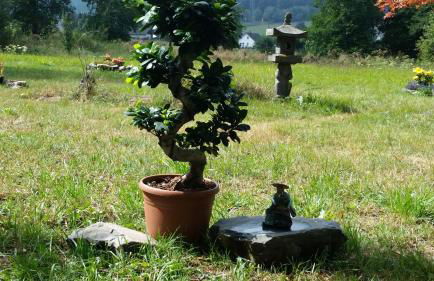 Übernachten in unseren Crutpracht Gästezimmern mit großem Bauernfrühstück, ab April 24 auch in der DUFFEL-SCHEUNE - Foto 1