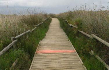 Casa de la Playa en Torredembarra - Foto 13