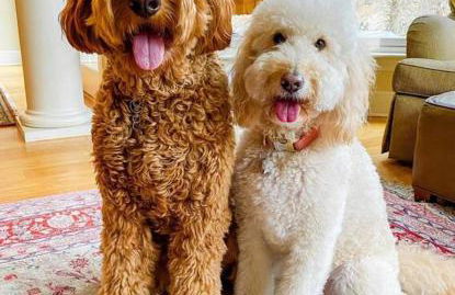 Harvard House-The Gathering Place - Foto 67