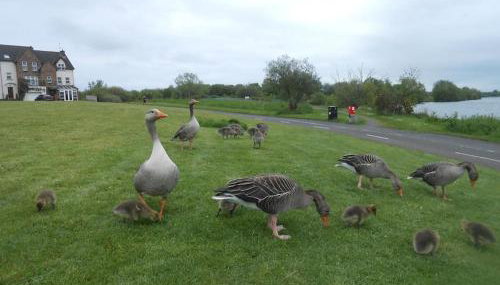 THE LAKE HOUSE: a delightful and peaceful retreat. - Foto 4