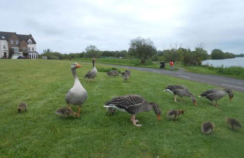 THE LAKE HOUSE: a delightful and peaceful retreat. - Foto 4