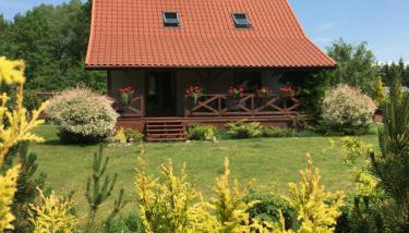 Dom w Sąpach - Foto 5, Garden