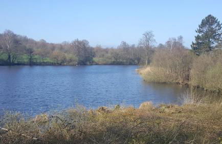 Ferienwohnung Seeblick - Foto 33