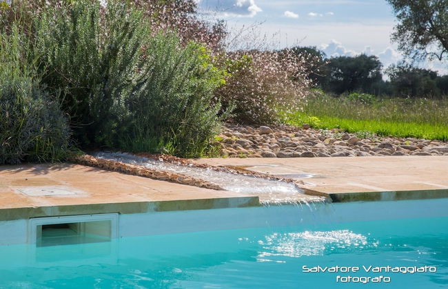 Azienda Agricola Spirdo - Foto 15