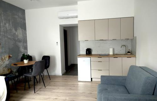 Noclegi Duet House Green Harmony Studio wejście na kod CENTRUM Ptak, Orientarium, Mandoria, Fala, Centrum Zdrowia Matki Polki, bezpłatny parking, klimatyzacja - Foto 5