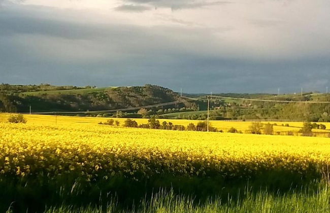 Holiday Home in Forest With Private Pool - Foto 37