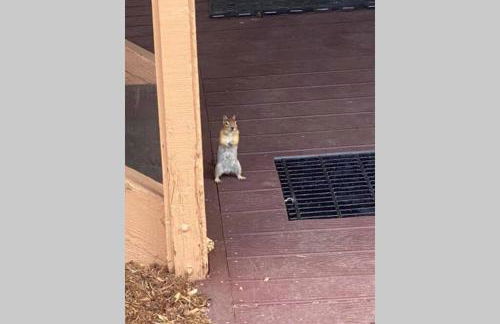 Comfy, Quiet, Condo near Lake Mary and the Village - Foto 17