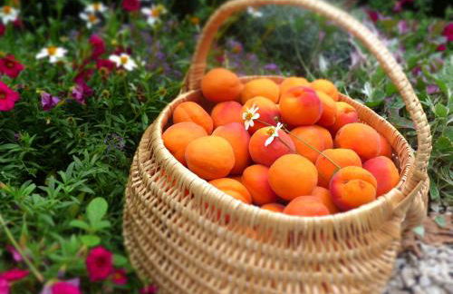 La Maison de ma Mère - Vue sur le Vignoble Saint-Joseph - Foto 23