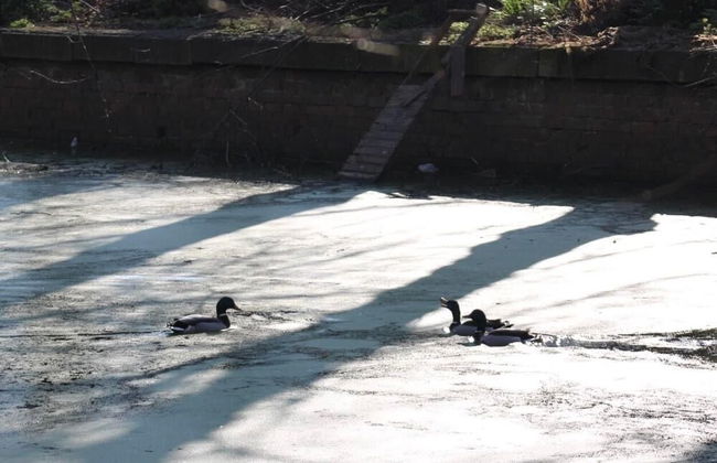 Mansion Annexe - Private 5 Acres-stunning Grounds - Photo 15