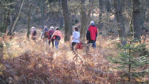 Beautiful condo with big garden - Foto 2