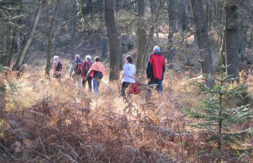 Beautiful condo with big garden - Foto 2