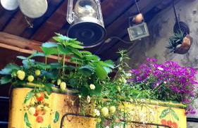 LA GARDE ADHEMAR, L'escalier Médiéval - Foto 30