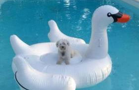 Pleasant Cozy Airstream with Amazing Stargaze and Farm Views in Maryland - Foto 29