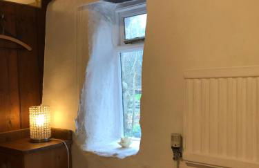 Tiny Cosy Snug - Photo 8