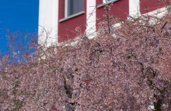 Agriturismo Tenuta Polledro - Photo 8