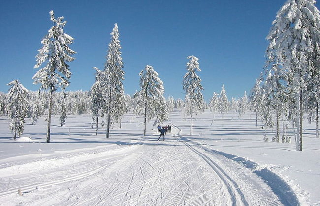 Hittenpichl "st. Christoph" - Foto 16