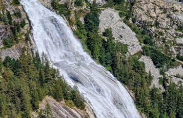 Cats & Breakfast - Foto 28