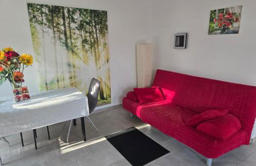 Haus Dresden, Pool, Garten, Terrasse, familienfreundlich - Foto 6