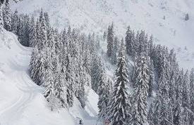 Luxury Apartment MONTCHAVIN - Foto 8