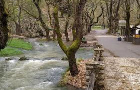 Kleitor Stone Villa-Peloponnese Getaway - Foto 6