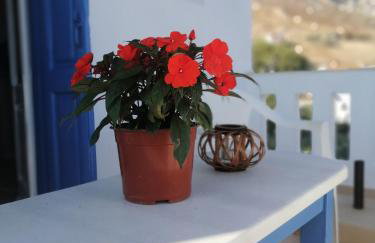 Petroula Apartments II - Photo 39