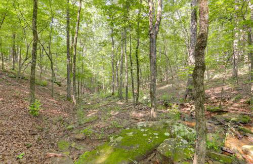 Trails and Creek On-Site Ozarks Retreat on 23 Acres - Foto 26